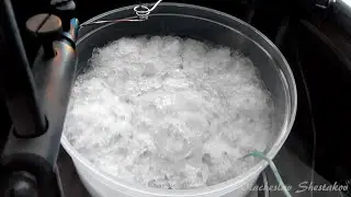 ТВЁРДЫЙ АЗОТ
