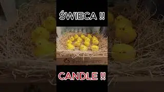 #Świece #Candles #kerzen #rękodzieło #handmade #kroburto