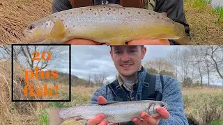 Wisconsin Trout Fishing 2021 Driftless Region