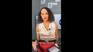 Police narrative of viral traffic stop costing TSA employee her job released