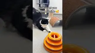 Utah Humane - Do you want the shelter tour?
