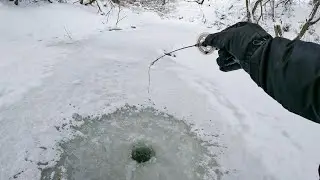 РАЗБУРИЛ ОМУТ МИКРО РЕЧКИ и КИВОК ЗАГНУЛО! ДУШЕВНАЯ Рыбалка на безмотылку зимой в 2026
