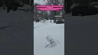 #youtubeshorts #nrilife #BORDER #cleaningsnow