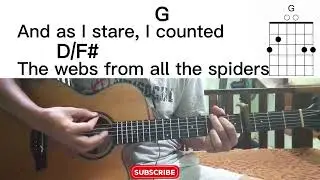 I Miss You guitar chords - Blink 182 (easy chords for beginners)
