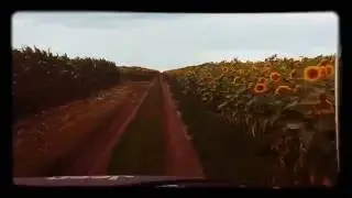 Ukraińskie słoneczniki 2016. Jeep Wrangler
