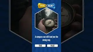 Survival Fact: A Compass Always Points North 🧭