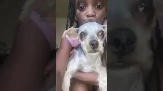 #doglife #doglover #dogs #newdogs