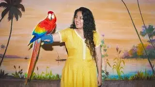 Top 11 Things to do in Mysore & on the way | Info vlog on Mysuru places to visit | Nimisha Raizada