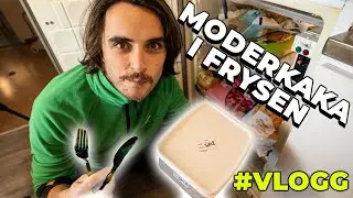 VI HAR EN MODERKAKA I FRYSEN! GRAVID VECKA 13 | VLOGG