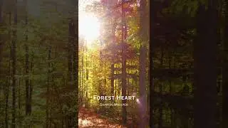 Forest Heart - Violin Meditation Music, Relax, Sleep, Inner Peace #Violin #Relax #meditation #Shorts