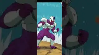 Str cooler showcase