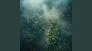 Velvet Veil of Calm