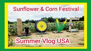 Summer Vlog ☀️🌞 Fun 💃 SUNFLOWER & CORN FESTIVAL 🌻🌽 Chesterfield Berry Farm VA, USA #fun #vlog #usa 