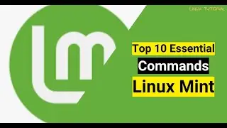Top 10 essential Linux Mint commands for beginners