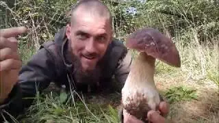 Naturnørd 43. Svampejagt.