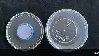 General insect research container 250ml capacity