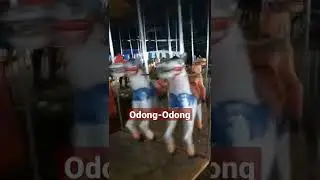 Odong-Odong ||The Twin Horses||#shorts #fun #shortvideo #2022