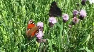 Radtour rund um den P&ouml;hlberg - Natur pur