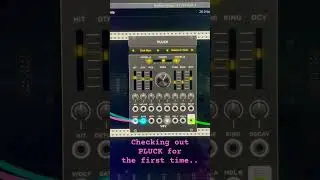 VCV Rack new module: Pluck #vcvrack #eurorack #modularsynth #music