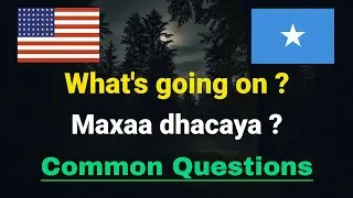 English to Somali: Most Common Questions for Beginners | Su’aalaha Muhiimka ah @Luqadda
