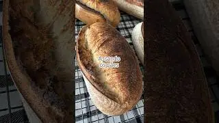 📍vamos assar os p&atilde;es?📍 #p&atilde;o #sourdough #levain
