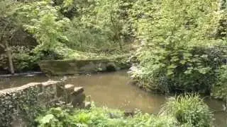 Lymm Slitten Mill