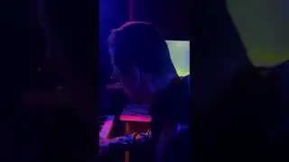 cat stole the show 🐾 #electronicmusic #catlife #catowner #catsofinstagram #cats #famouscats