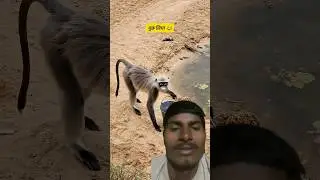 पुछ लिया 😂 #funny #comedy #thetharpuns #souravjoshifacts #shortvideo