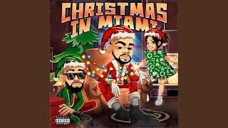 Christmas in Miami