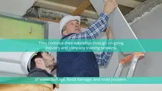 Anchor Water Damage & Restoration Has a Team of Professional Restoration Technicians