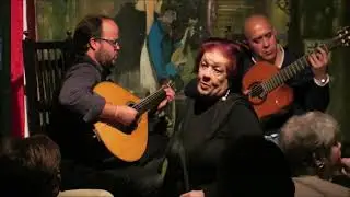 Maria Am&eacute;lia Proen&ccedil;a - 