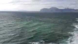 MOV00800