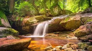 Relaxing Zen Music With Water Peaceful Sounds | Synergy of Nature