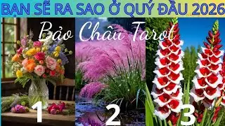 Bạn Trong Quý 1/2026