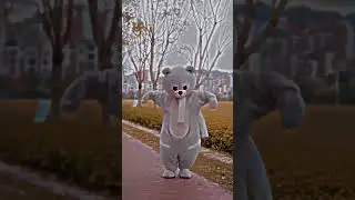 cute teddy bear is dancing on flower #sorts #shortvideo @TeddyStark &lrm;@AmitBhadana &lrm;@mrmiko2.0&nbsp;