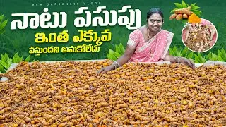 చాలా రోజుల తరువాత పొలం లో పెద్ద హార్వెస్ట్|ఇంత పసుపు వస్తాడనికోలేదు #harvest 