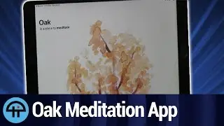 Oak Meditation App Review