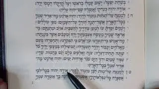 Psalm 9 Hebrew immersion part 1 of 3 - language lab