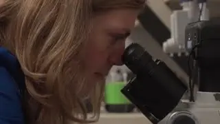 Genetics are Going to 