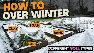 How to OVER WINTER Vegetable Beds for a Massive Crop NEXT YEAR!