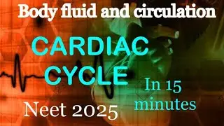 Cardiac cycle in just 15 minutes