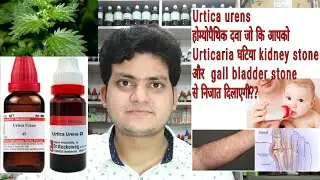 Urtica urens! Homeopathic medicine Urtica urens? urticaria increase uric acid? symptom and diseases!