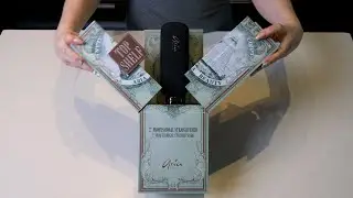 Unboxing the Top Shelf Hair Straightener by Aria Beauty