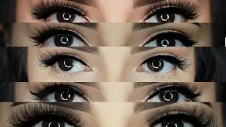 See Through Collection by Velour Lashes | ALONDRA GAETA