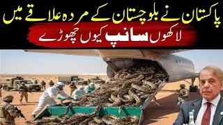 Millions Of Snakes Released Into Deadland And Results Shocked Pakistani Scientists After 1 Year