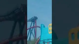 Shiekra at busch gardens