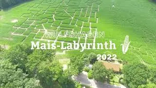 #maislabyrinth in Wulfshagen bei Kiel 2023