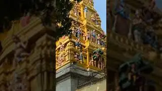 shri nimishamba devi🙏🏻 #video #like #comments #creat #review #god #devi #annamadevi #nimishambhadevi