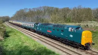 Deltic Class 55 55019 'Royal Highland Fusilier' on the Great Central Railway