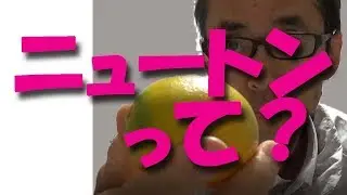 1ニュートンってどれくらい？